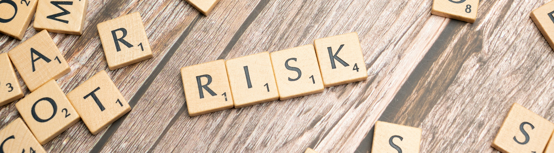 Master Executive in Corporate Governance and Risk Management